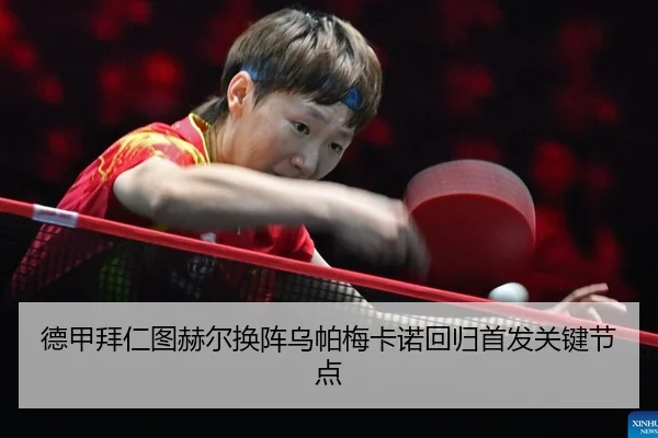 de-jia-bai-ren-tu-he-er-huan-zhen-wu-pa-mei-ka-nuo-hui-gui-shou-fa-guan-jian-jie-dian-2-739.jpg