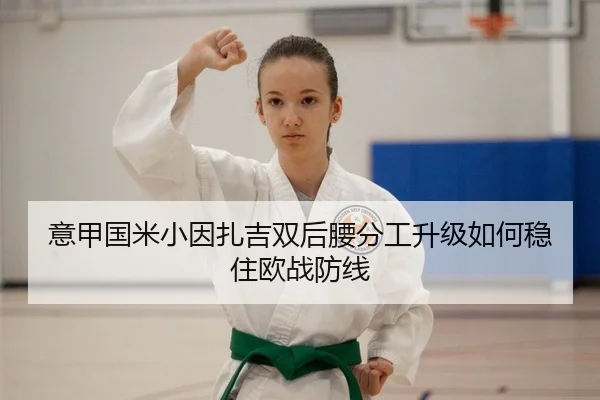 意甲国米小因扎吉双后腰分工升级如何稳住欧战防线